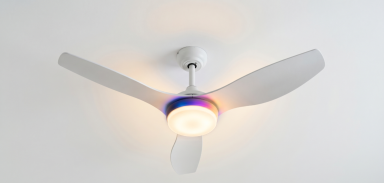 Modern ceiling fan with light