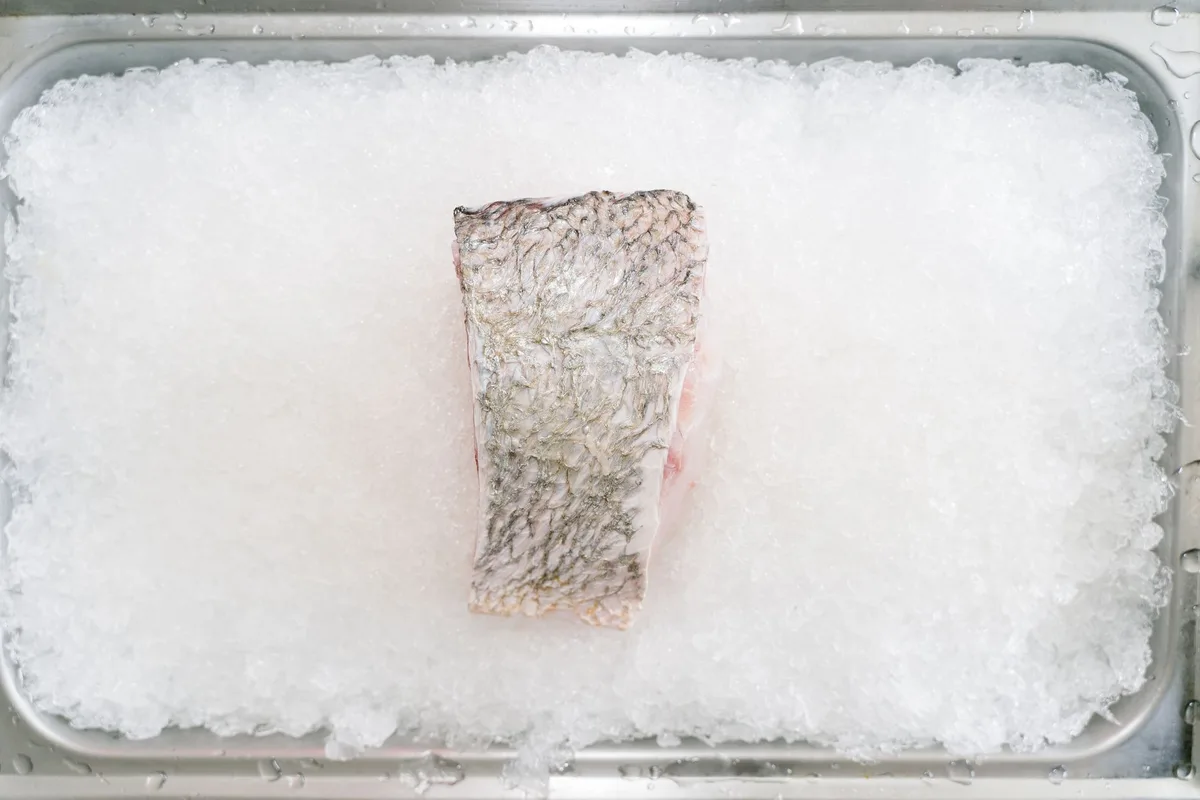frozen salmon vs fresh salmon
